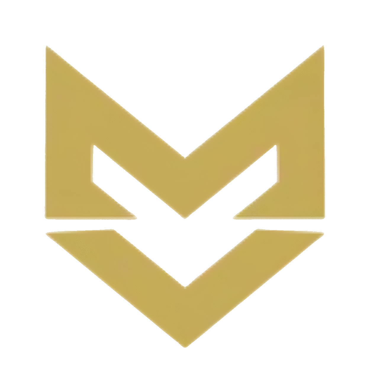 Icon MV Immobilier