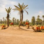 Villa à la Palmeraie, Marrakech